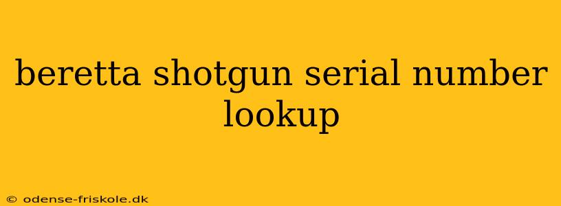 beretta shotgun serial number lookup