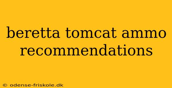 beretta tomcat ammo recommendations