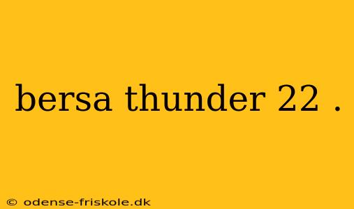 bersa thunder 22 .