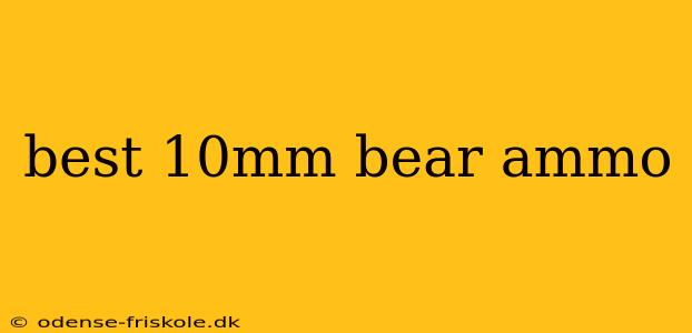 best 10mm bear ammo