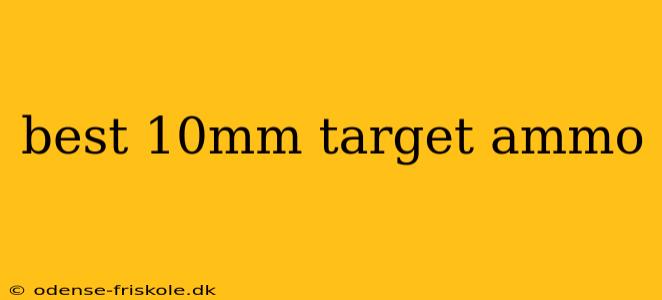 best 10mm target ammo