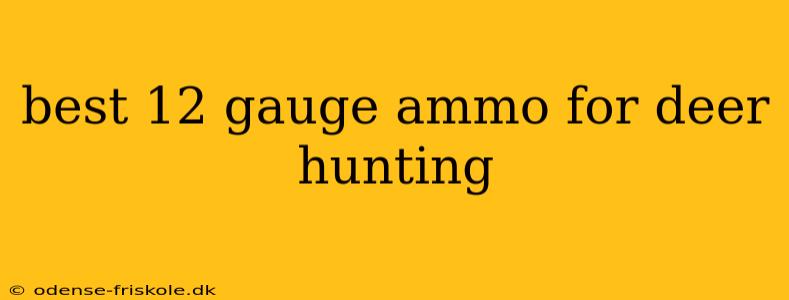 best 12 gauge ammo for deer hunting