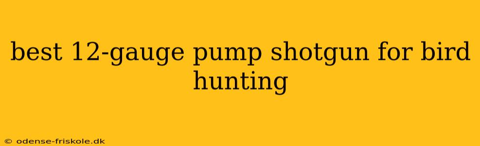 best 12-gauge pump shotgun for bird hunting