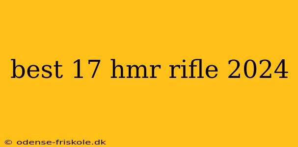 best 17 hmr rifle 2024