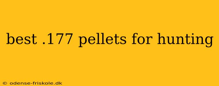 best .177 pellets for hunting