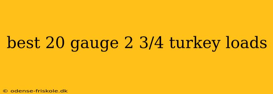 best 20 gauge 2 3/4 turkey loads