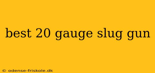 best 20 gauge slug gun