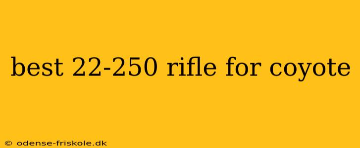 best 22-250 rifle for coyote