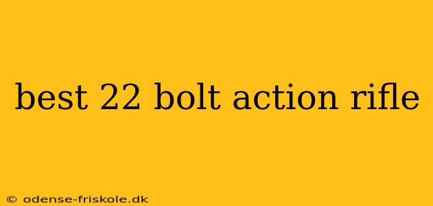 best 22 bolt action rifle