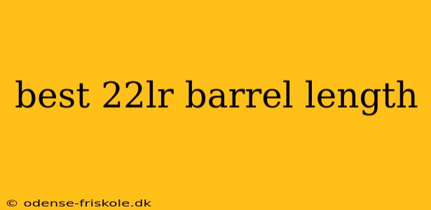 best 22lr barrel length