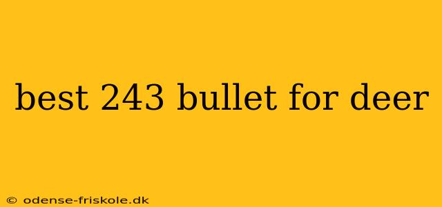 best 243 bullet for deer