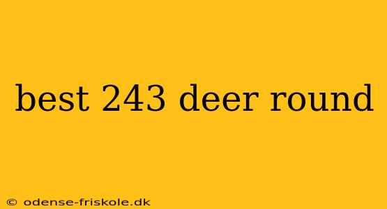 best 243 deer round