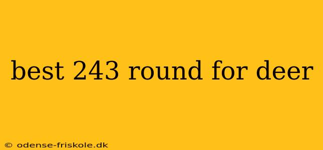 best 243 round for deer