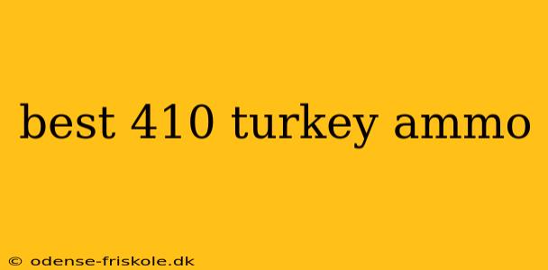 best 410 turkey ammo