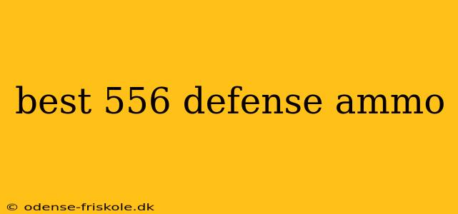 best 556 defense ammo