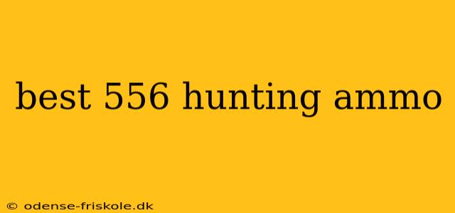 best 556 hunting ammo