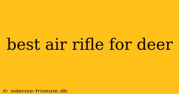 best air rifle for deer