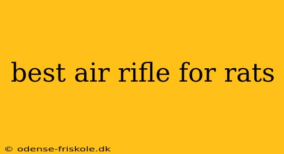 best air rifle for rats