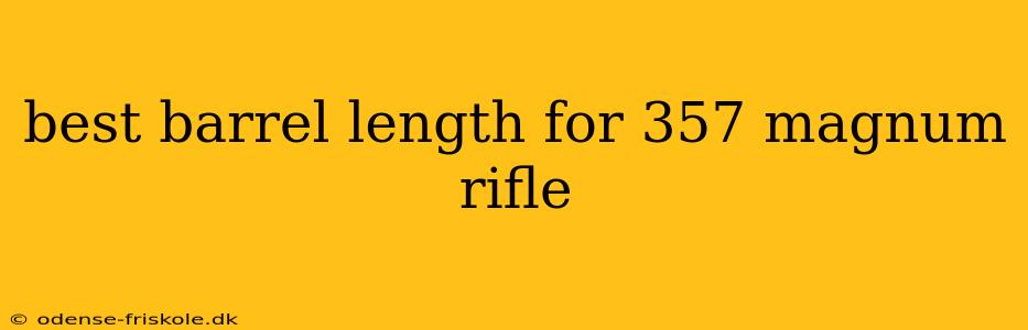 best barrel length for 357 magnum rifle