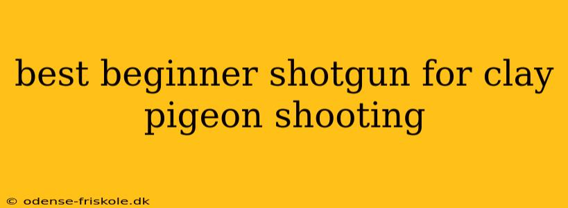 best beginner shotgun for clay pigeon shooting