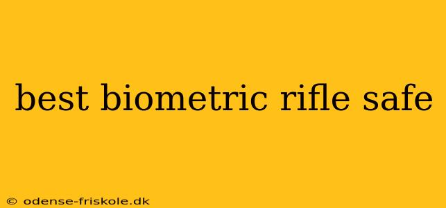 best biometric rifle safe