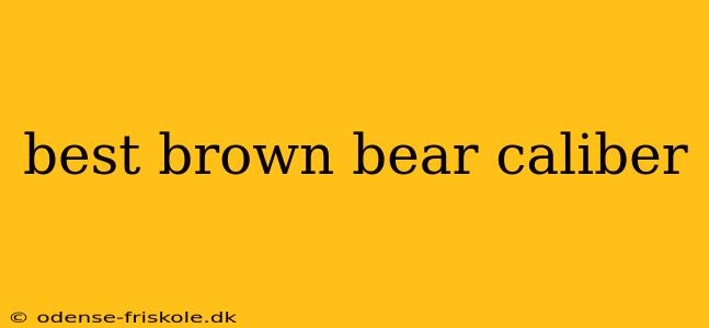 best brown bear caliber