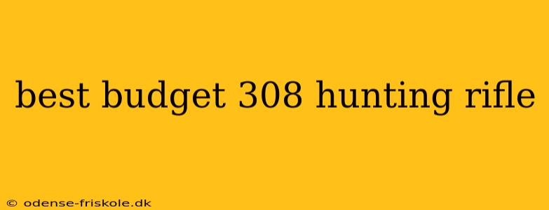 best budget 308 hunting rifle