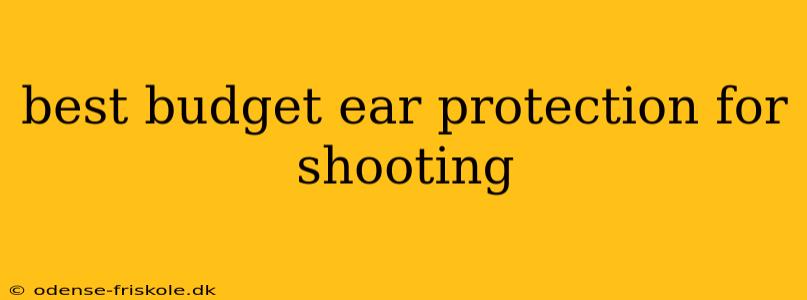 best budget ear protection for shooting