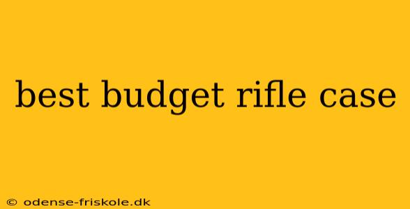 best budget rifle case