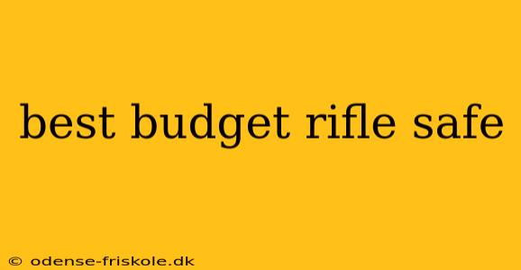 best budget rifle safe