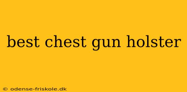 best chest gun holster