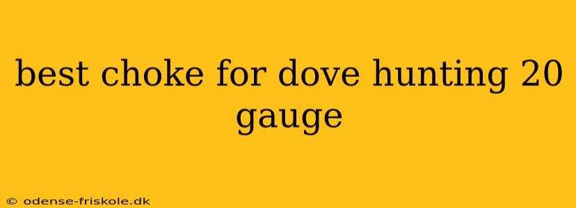 best choke for dove hunting 20 gauge