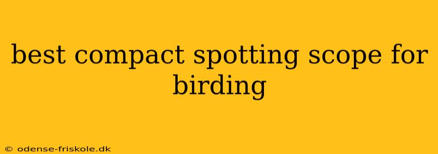 best compact spotting scope for birding