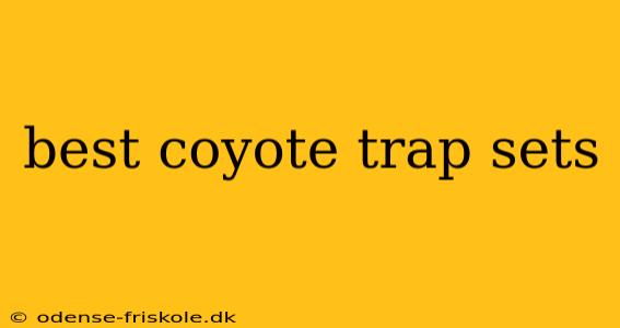 best coyote trap sets