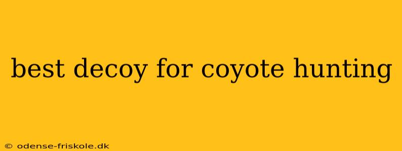 best decoy for coyote hunting