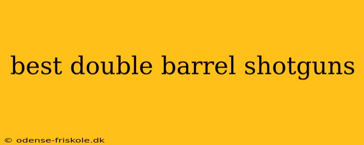 best double barrel shotguns