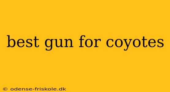 best gun for coyotes