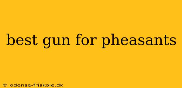 best gun for pheasants