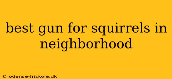 best gun for squirrels in neighborhood