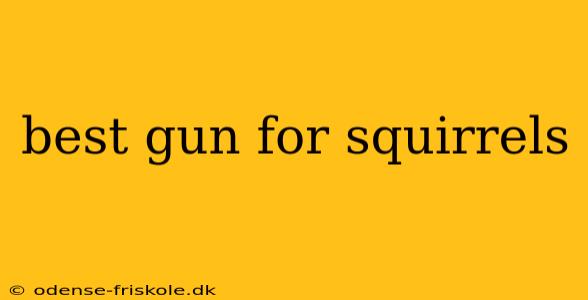 best gun for squirrels