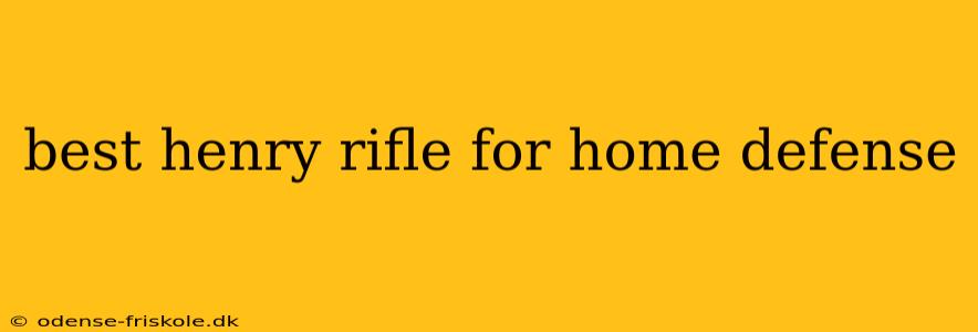 best henry rifle for home defense