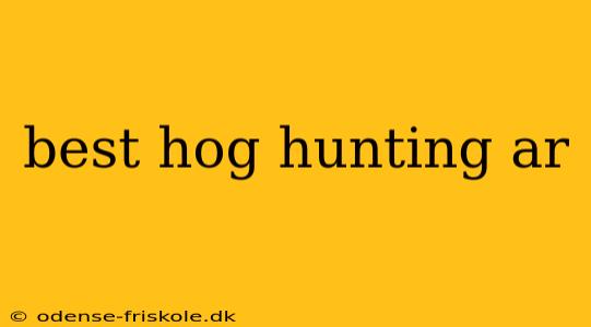 best hog hunting ar