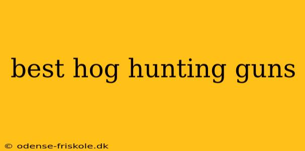 best hog hunting guns