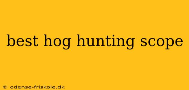 best hog hunting scope