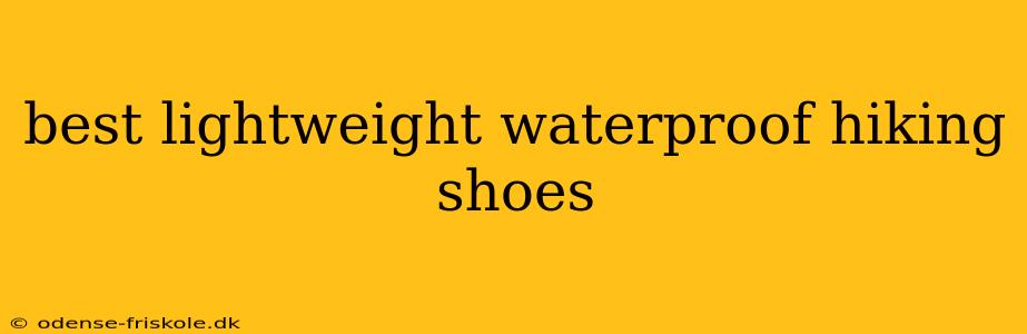 best lightweight waterproof hiking shoes