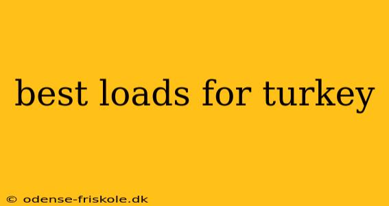 best loads for turkey