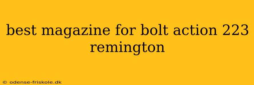 best magazine for bolt action 223 remington