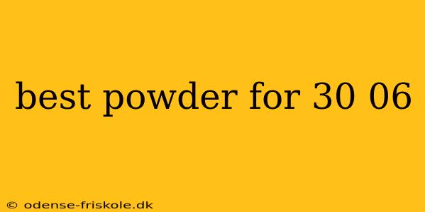 best powder for 30 06