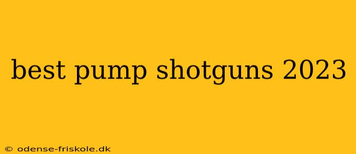 best pump shotguns 2023