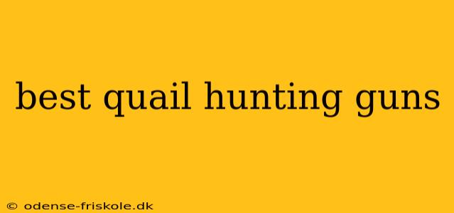 best quail hunting guns